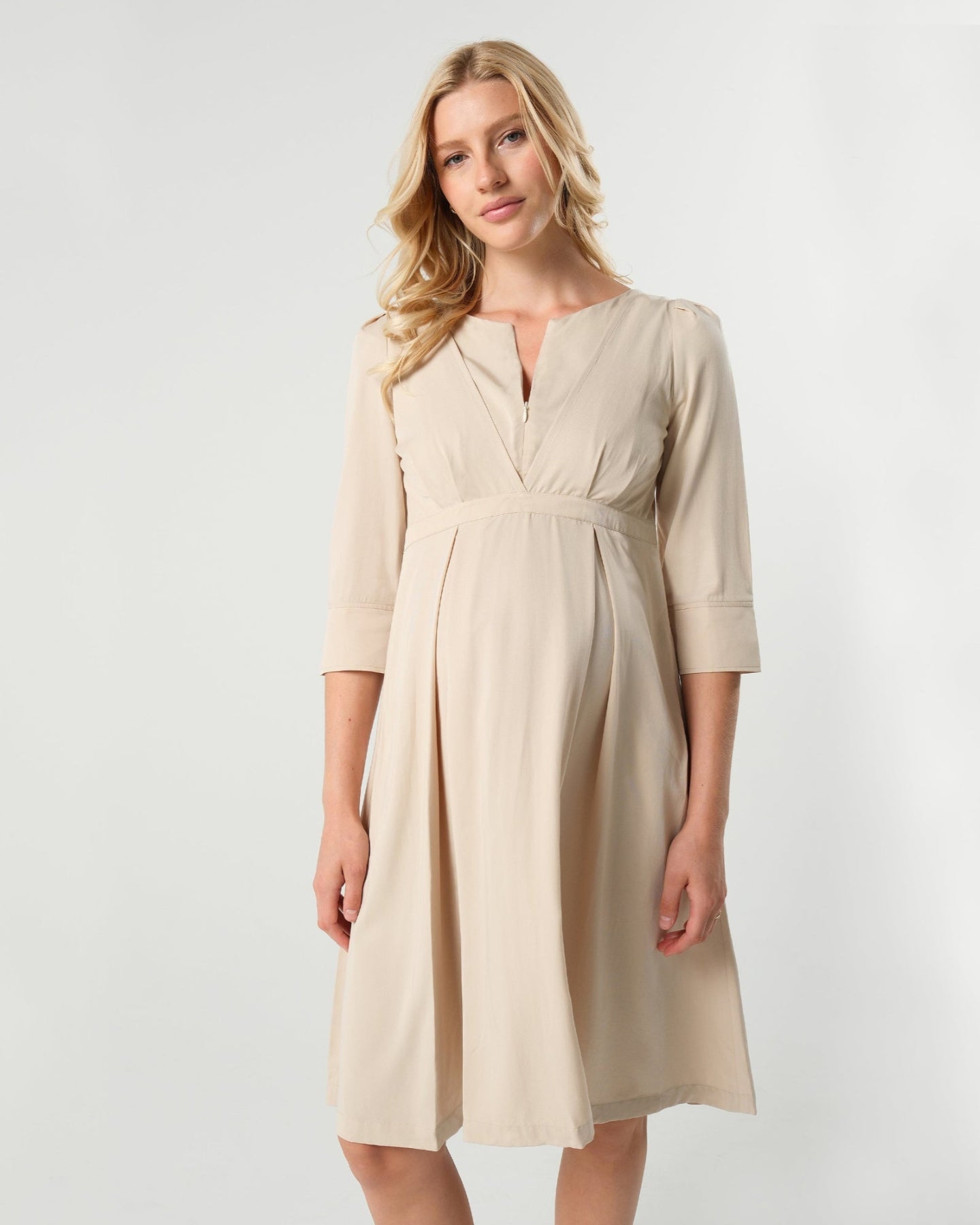 Sarah Empire Maternity & Nursing Petite Dress